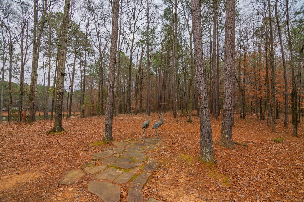 1578 Ga Highway Hamilton, GA 31811 - Photo 79 of 86