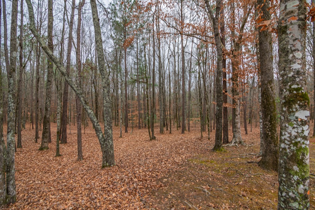 1578 Ga Highway Hamilton, GA 31811 - Photo 80 of 86