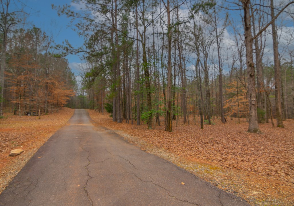 1578 Ga Highway Hamilton, GA 31811 - Photo 81 of 86