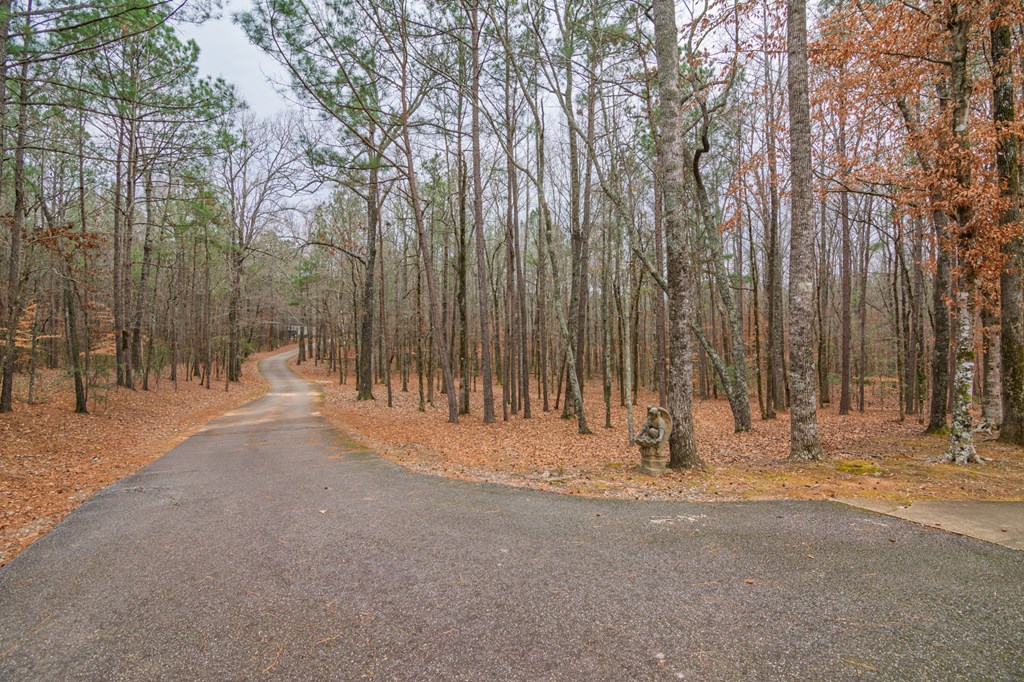 1578 Ga Highway Hamilton, GA 31811 - Photo 82 of 86