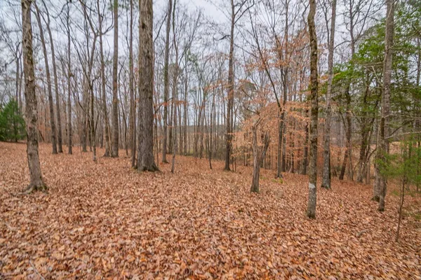 $925,000 | 1578 Ga Highway, Hamilton, GA 31811