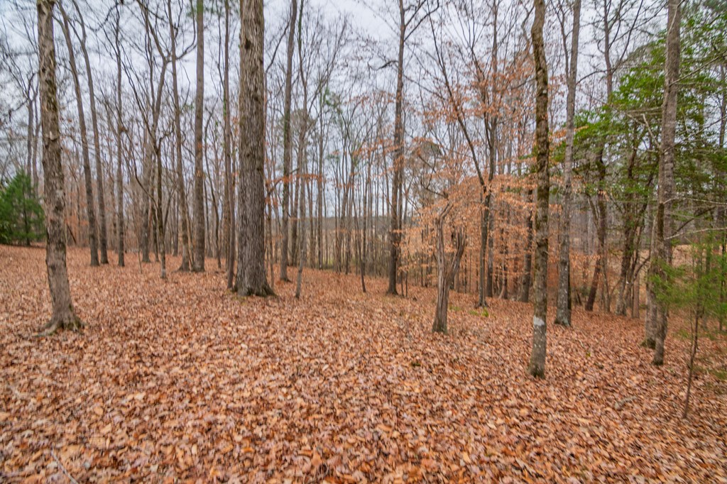 1578 Ga Highway Hamilton, GA 31811 - Photo 83 of 86