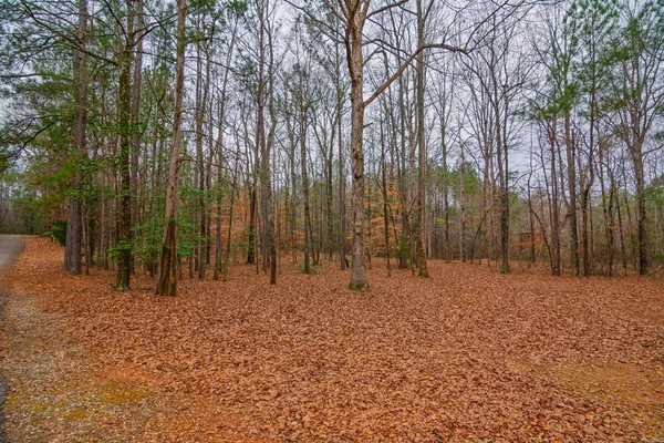 $925,000 | 1578 Ga Highway, Hamilton, GA 31811