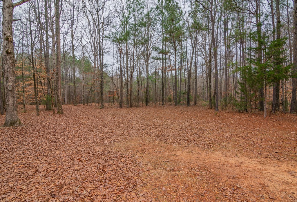 1578 Ga Highway Hamilton, GA 31811 - Photo 85 of 86