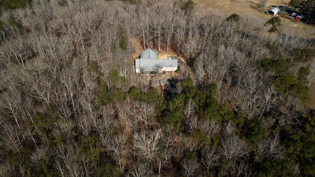 1578 Ga Highway Hamilton, GA 31811 - Photo 94 of 96