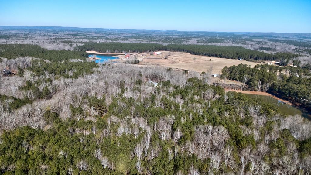 1578 Ga Highway Hamilton, GA 31811 - Photo 95 of 96