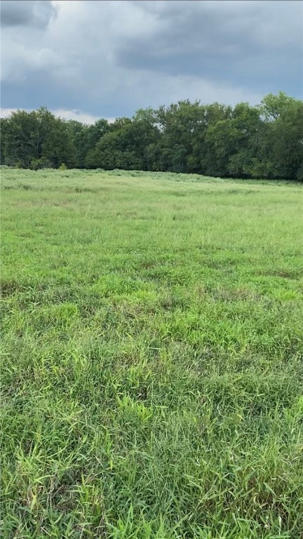 0 Lcr 721 Kosse, TX 76653 - Photo 2 of 5