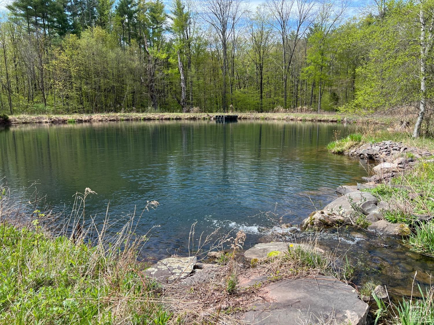 138 Vienna Woods Road Purling, NY 12470 - Photo 7 of 38 Photo 8