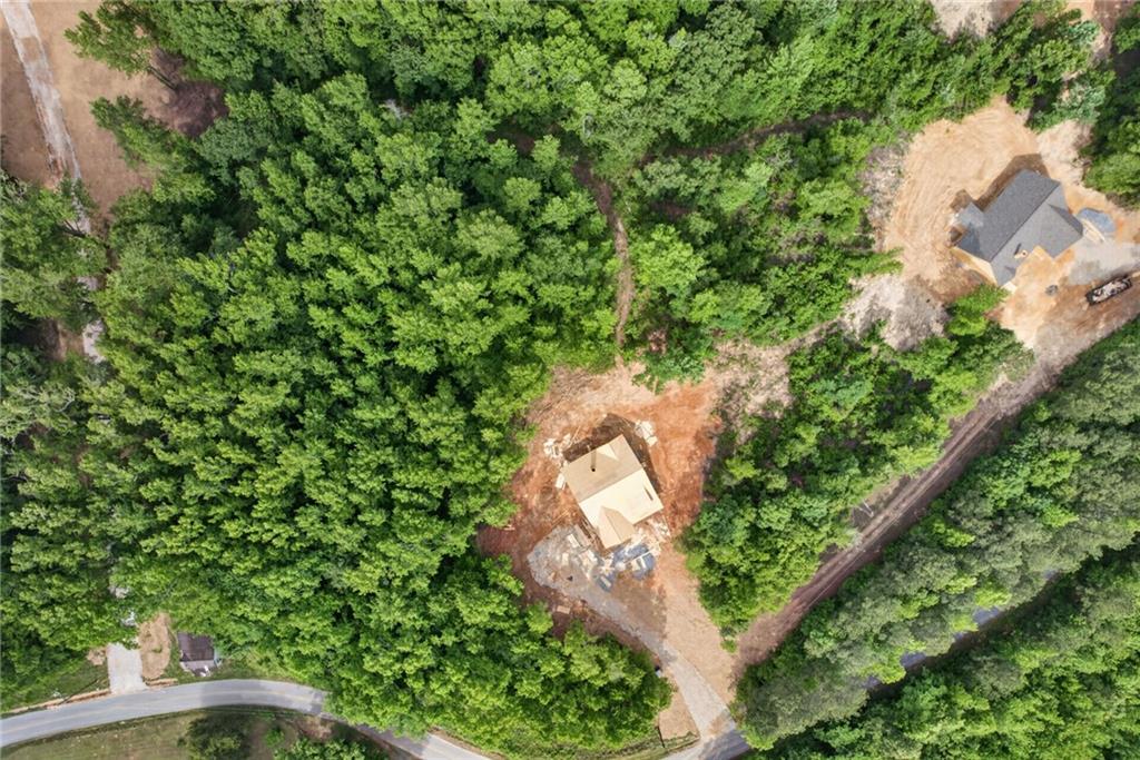391 Relay Road Silver Creek, GA 30173 - Photo 41 of 52