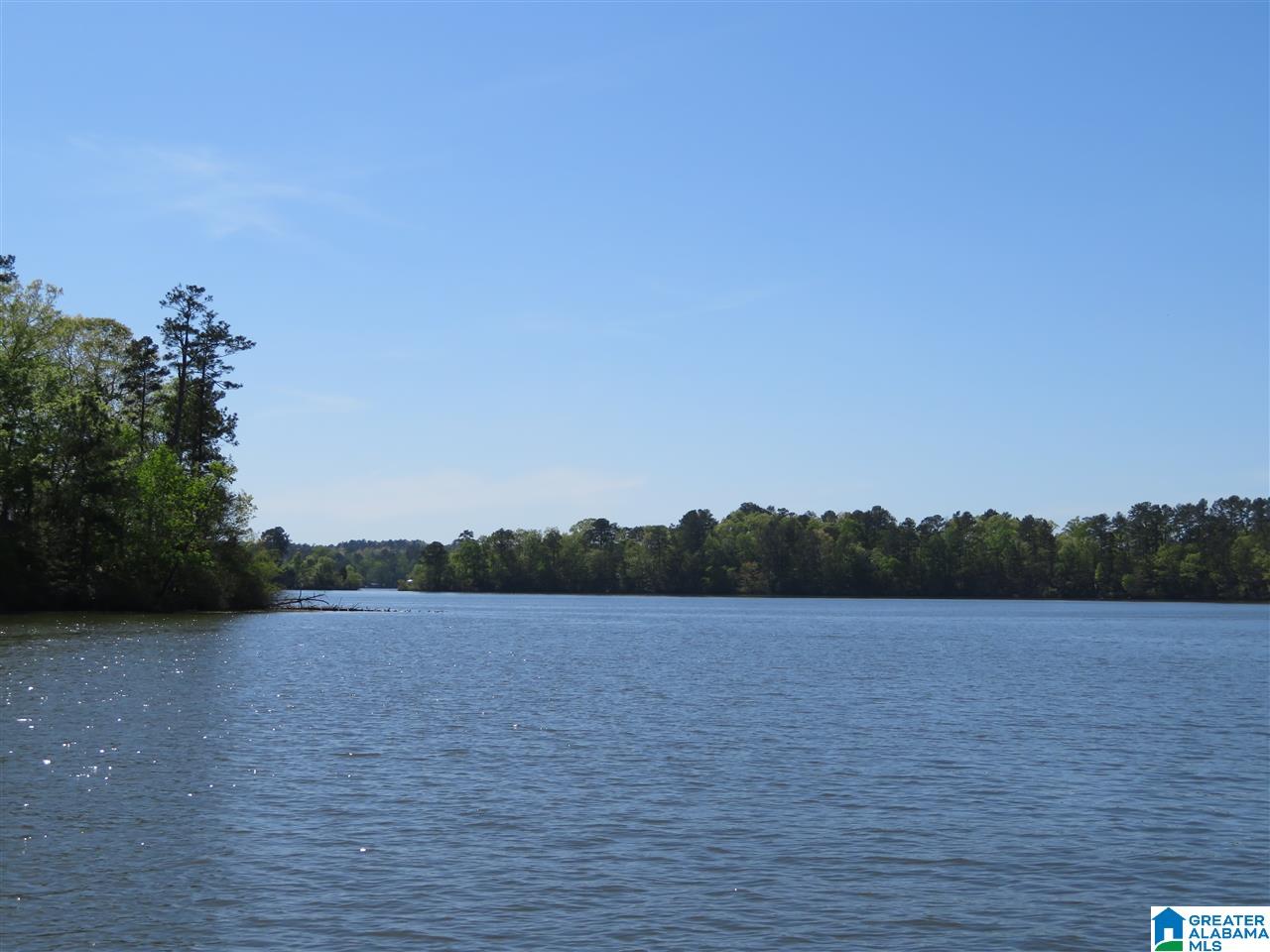 Lot 14 Eagle Point Trace, Unit 14 Alexander City, AL 35010 - Photo 9 of 13