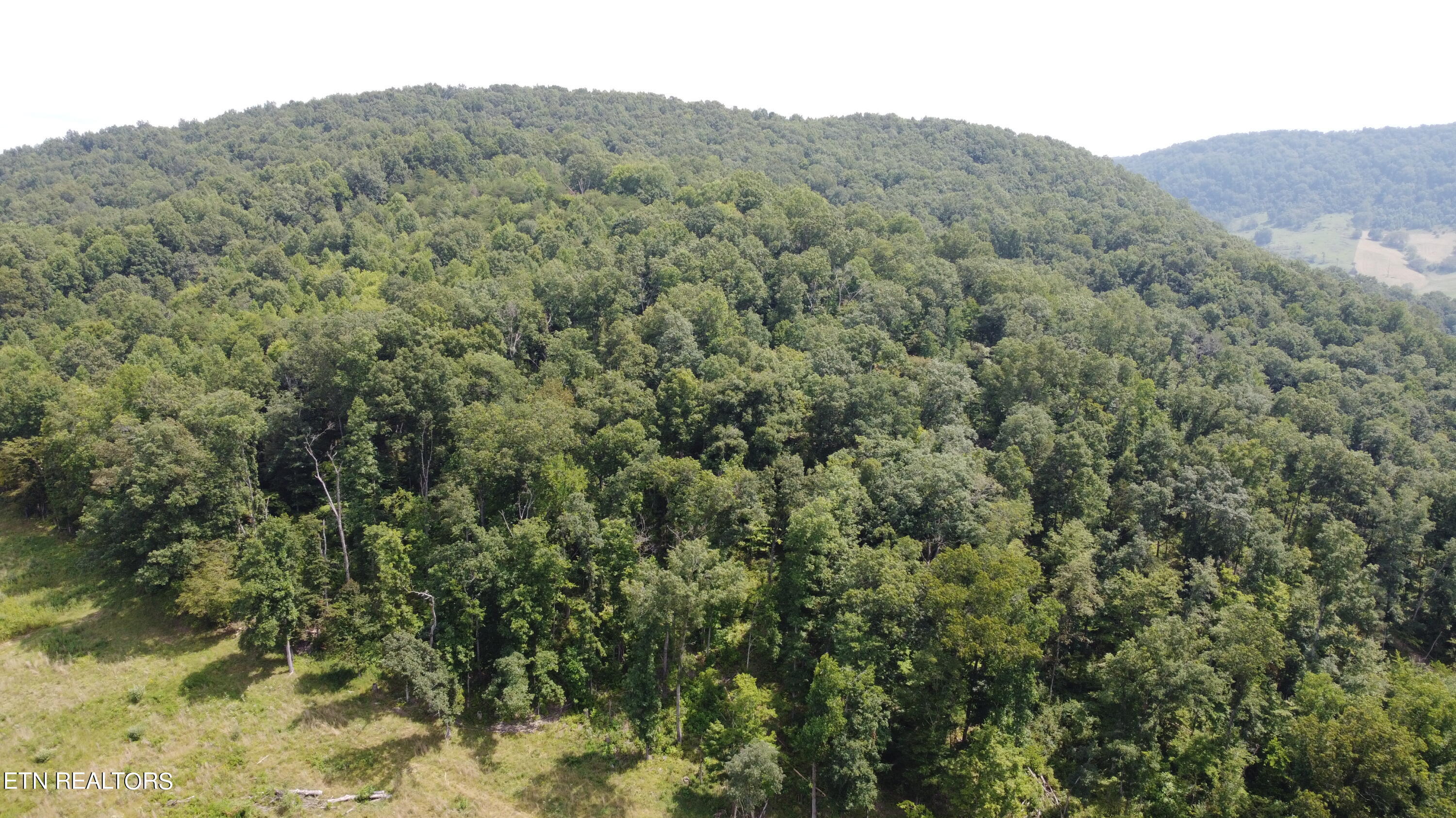 Tbd Mulberry Gap Road Tazewell, TN 37879 - Photo 7 of 9 DJI_0541.JP