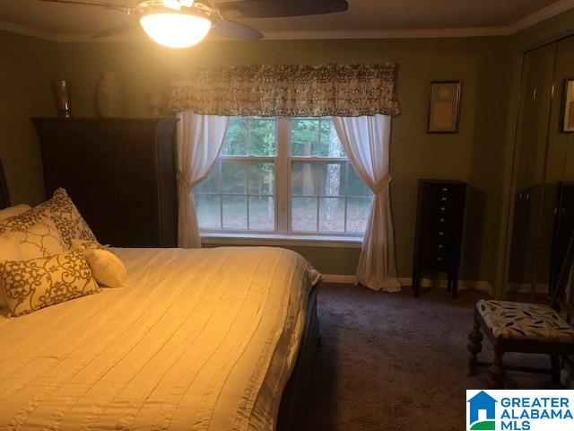 2799 Pineywoods Sipsey Road Jasper, AL 35504 - Photo 21 of 39