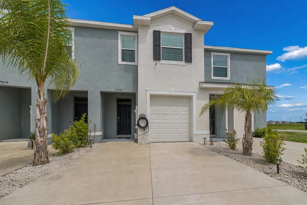 33083 Frosted Clover Way Wesley Chapel, FL 33545 - Photo 1 of 70 a front view of a house with a yard