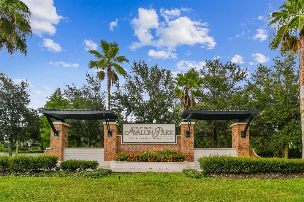 33083 Frosted Clover Way Wesley Chapel, FL 33545 - Photo 18 of 70 a front view of a house with garden