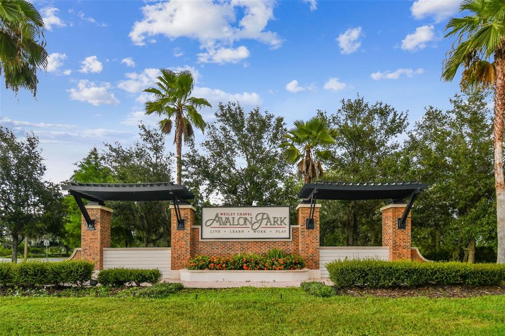 33083 Frosted Clover Way Wesley Chapel, FL 33545 - Photo 65 of 70