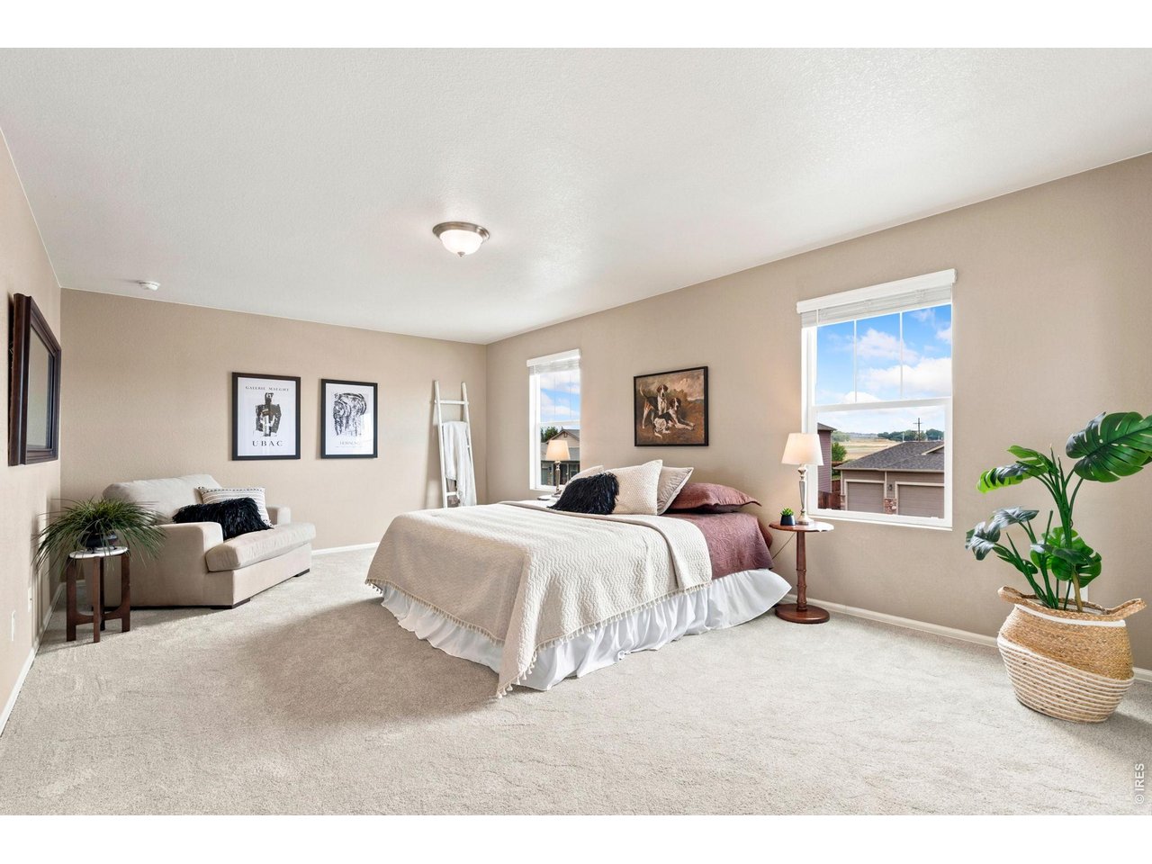 1663 Highfield Drive Windsor, CO 80550 - Photo 20 of 30