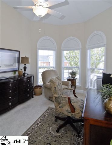 18 Gladstone Way Greer, SC 29650 - Photo 7 of 25 Gallery Image 7