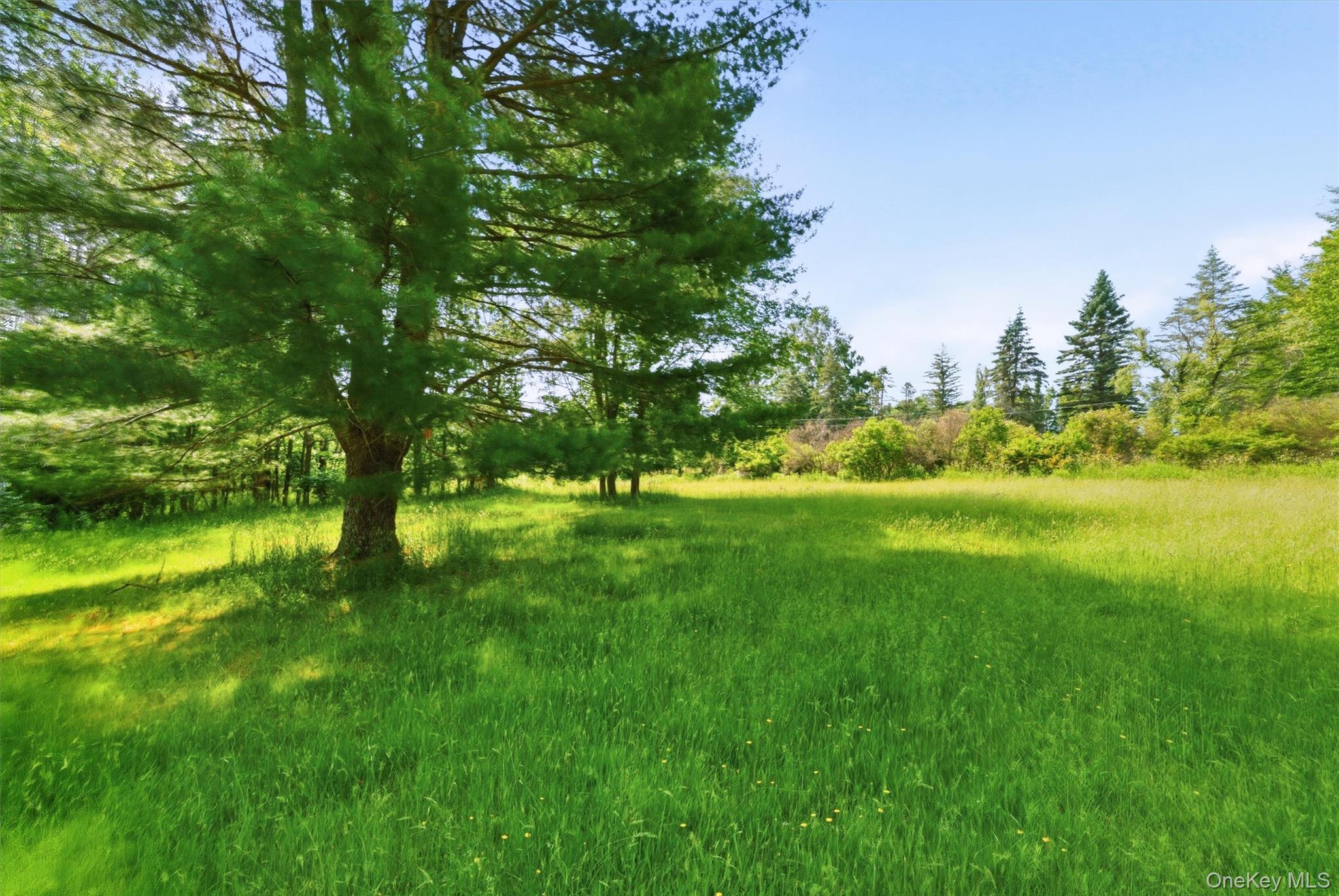 Tbd Britman Road Bethel, NY 12720 - Photo 5 of 16