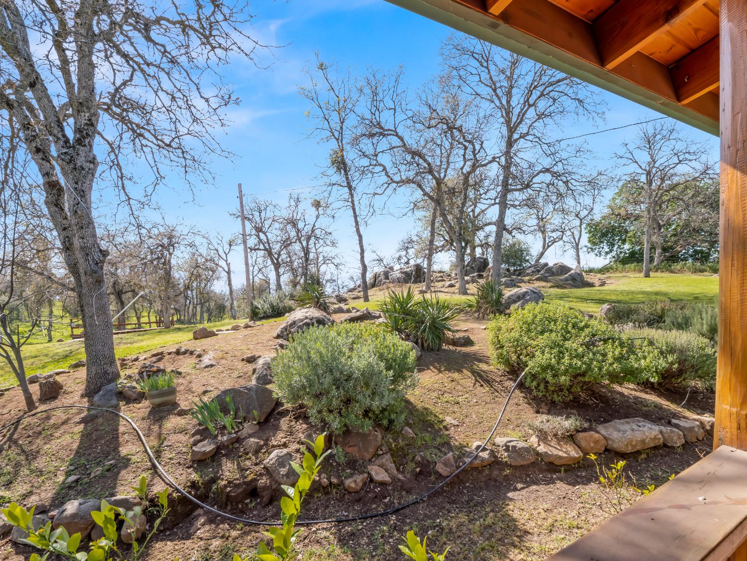 37678 Cardinal Lane Squaw Valley, CA 93675 - Photo 16 of 65 a view of a yard with plants and trees