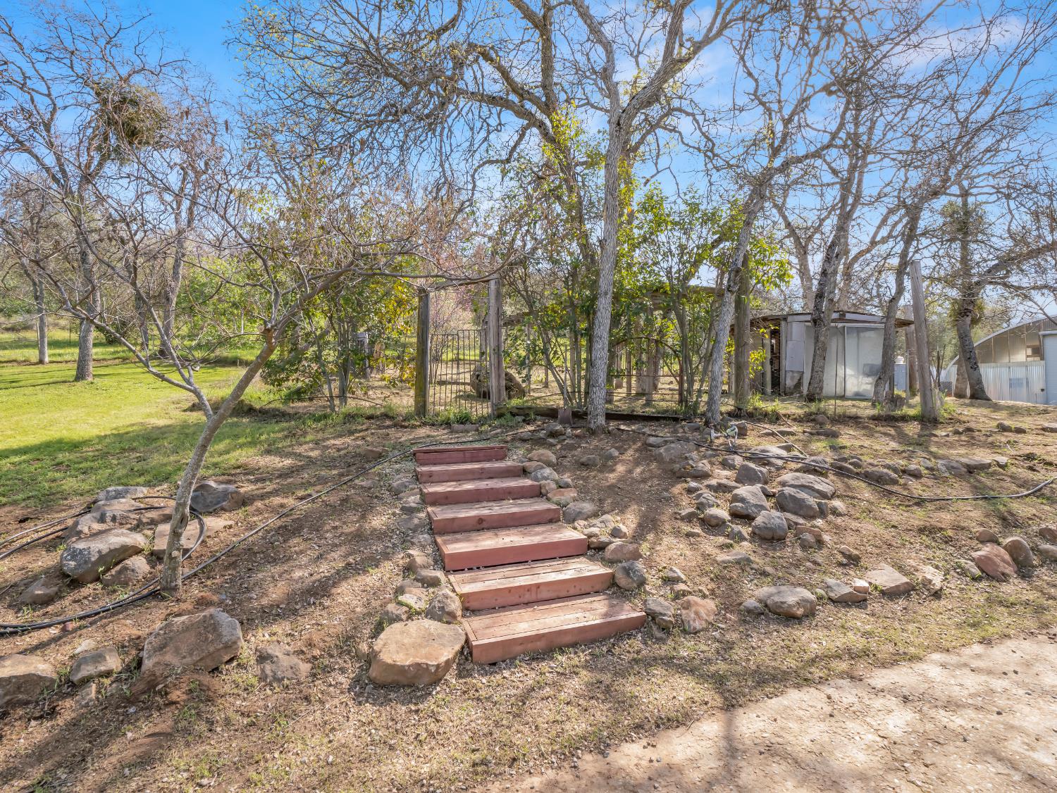 37678 Cardinal Lane Squaw Valley, CA 93675 - Photo 22 of 65 a front view of a house with a yard