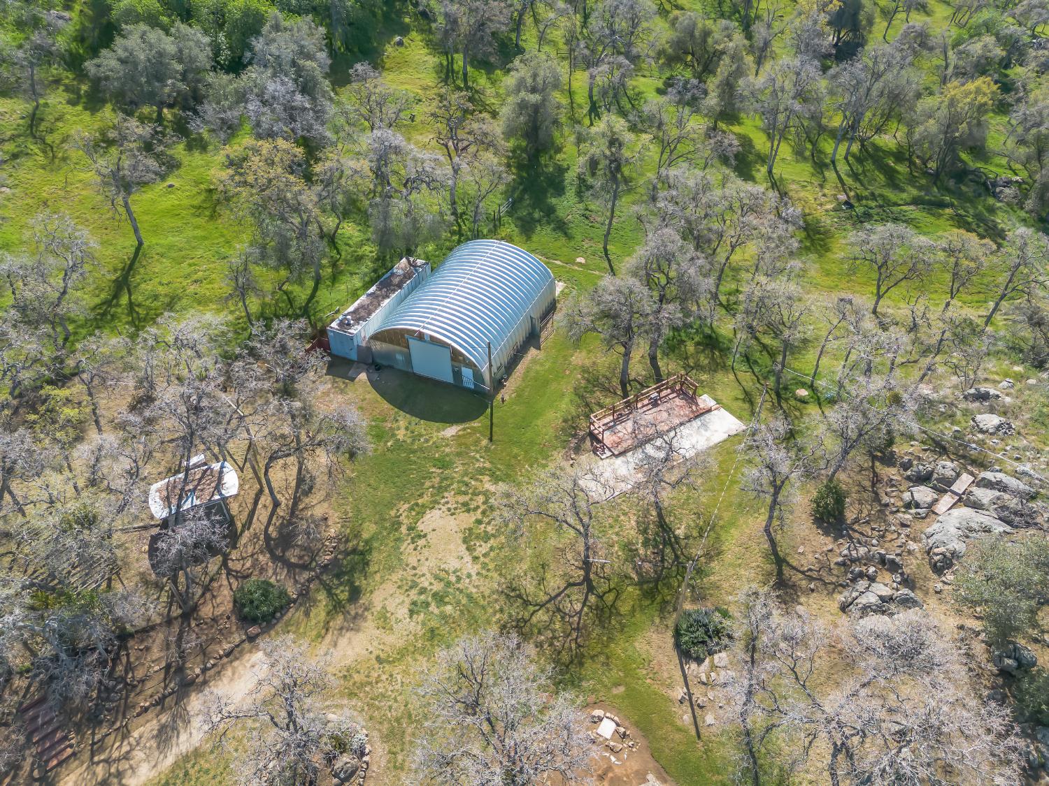 37678 Cardinal Lane Squaw Valley, CA 93675 - Photo 30 of 65 a backyard of a house with large trees and plants