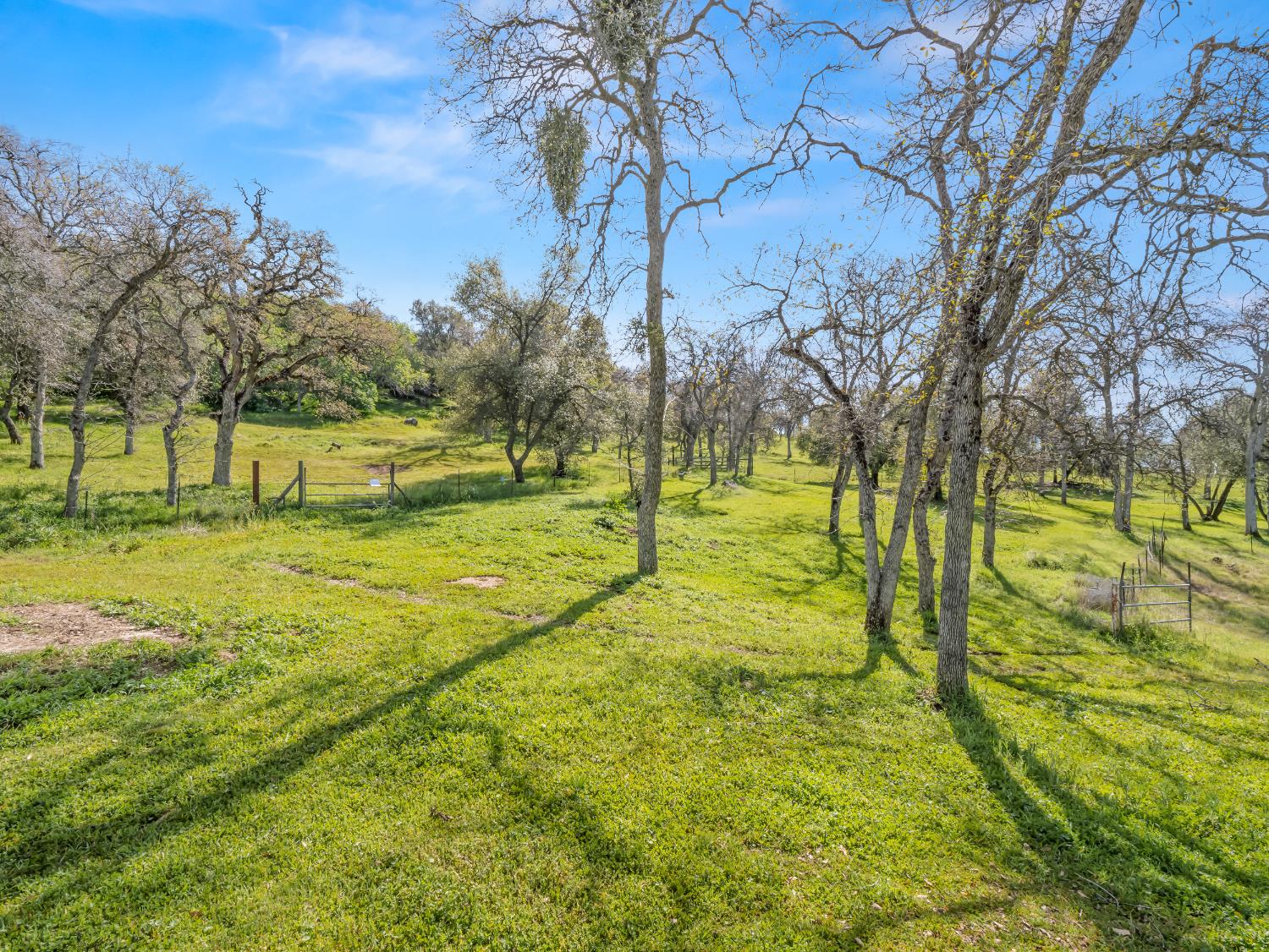 37678 Cardinal Lane Squaw Valley, CA 93675 - Photo 9 of 65 a view of an ocean with a big yard