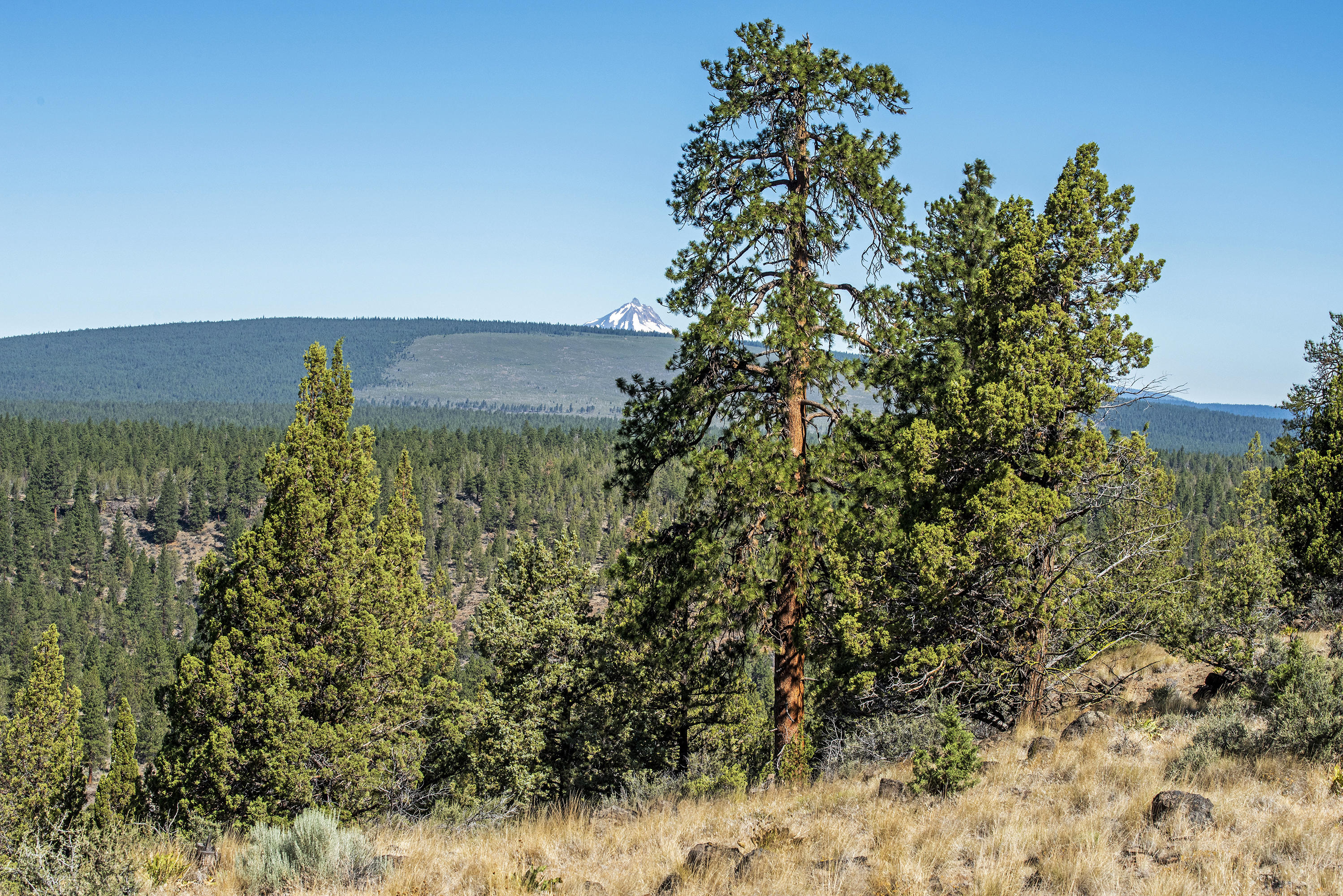 17990 Mountain View Road Sisters, OR 97759 - Photo 5 of 21 Mt. Jefferson