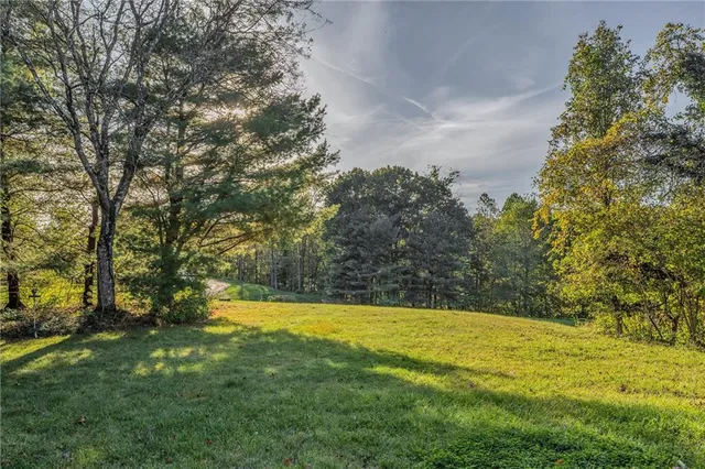 a view of outdoor space with trees all around