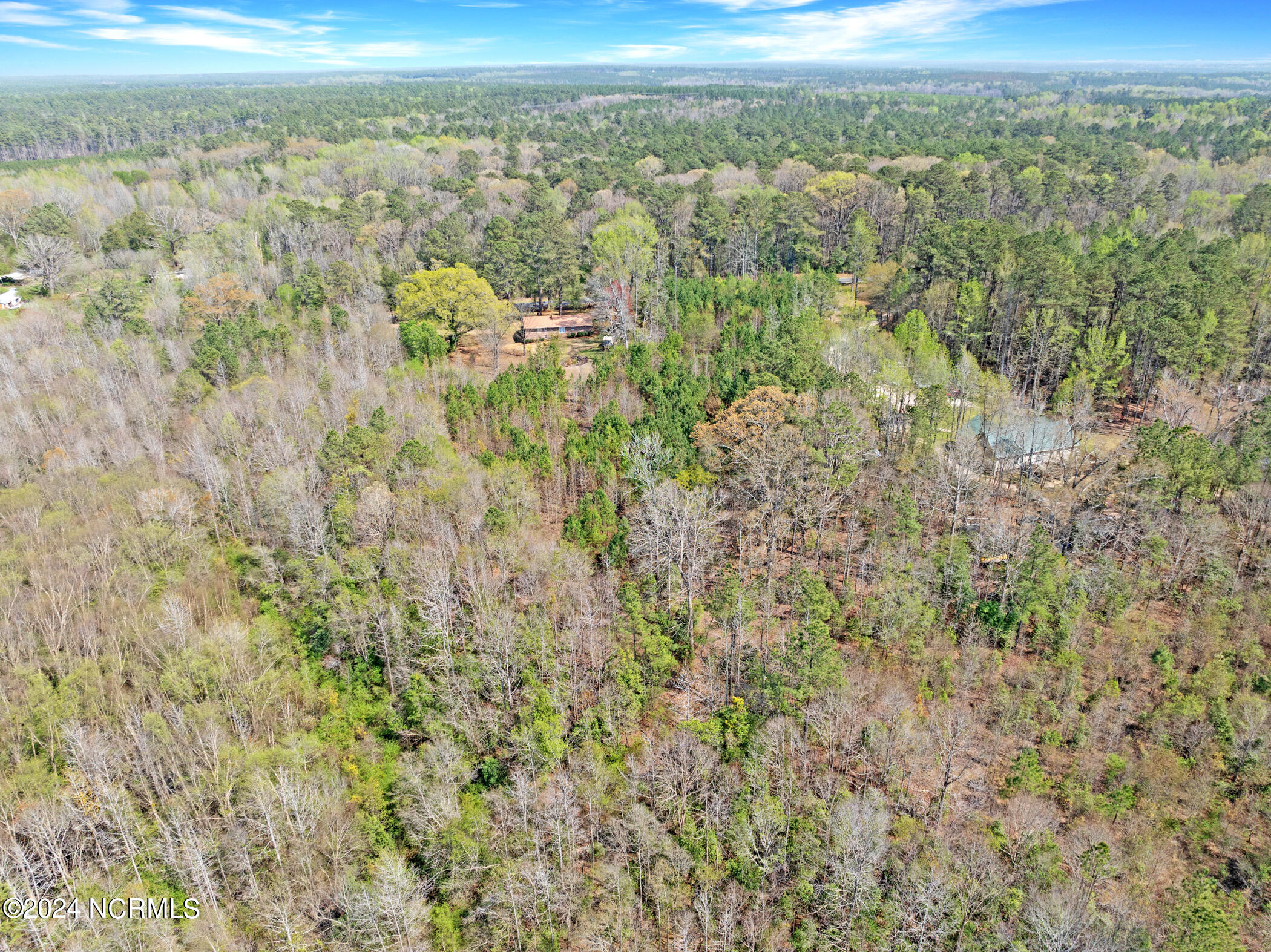 1649 Sandhill Game Management Road Rockingham, NC 28379 - Photo 13 of 23 DJI_0199
