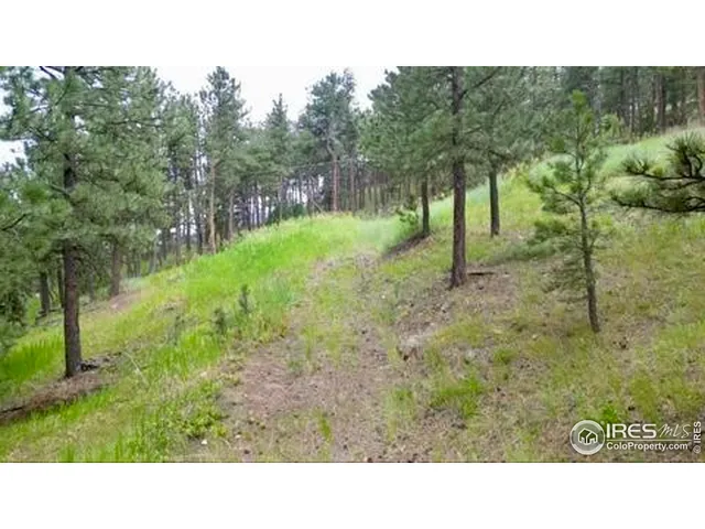a open area with trees in the background