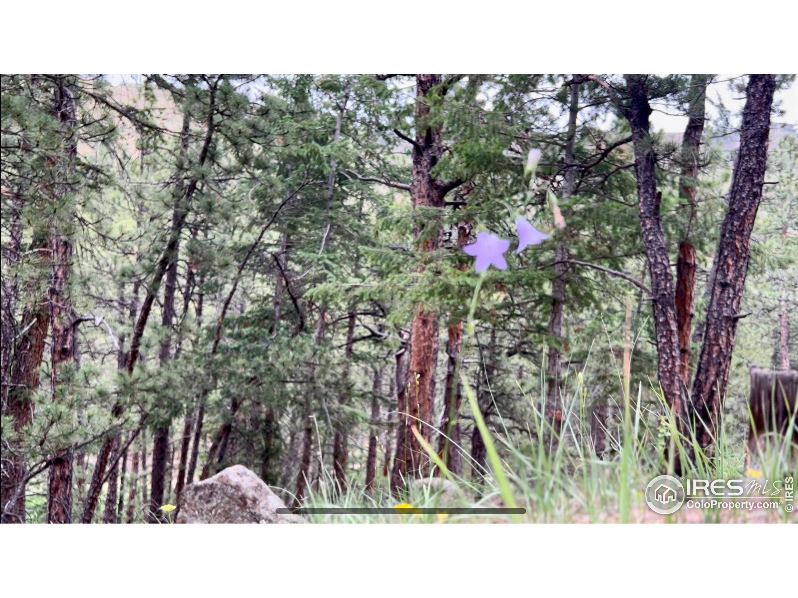 375 Arroyo Chico Boulder, CO 80302 - Photo 18 of 33 a black and white photo of a house