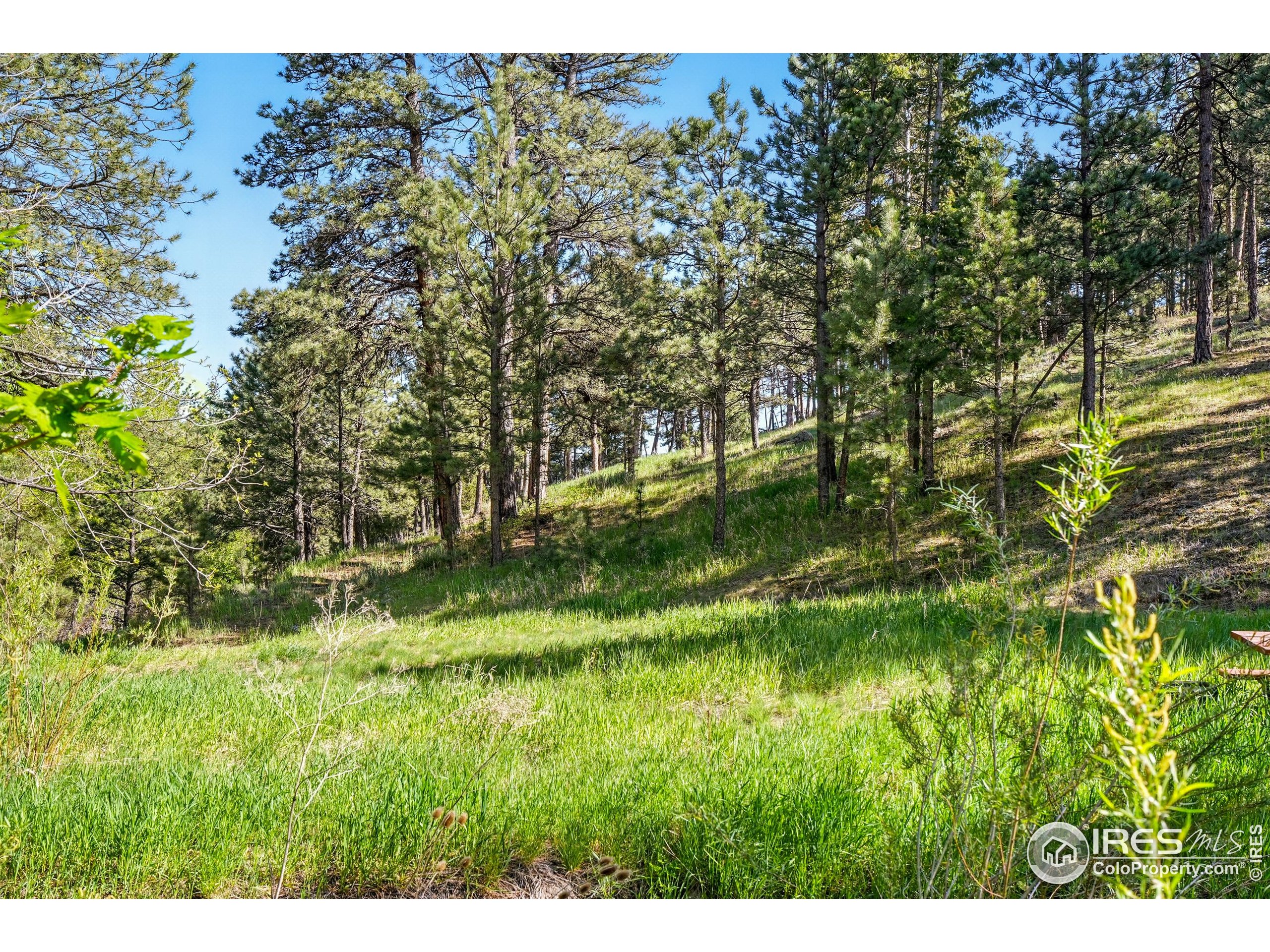 375 Arroyo Chico Boulder, CO 80302 - Photo 2 of 33 a backyard of a house with a yard and large tree