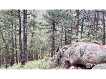 a black and white photo of a building