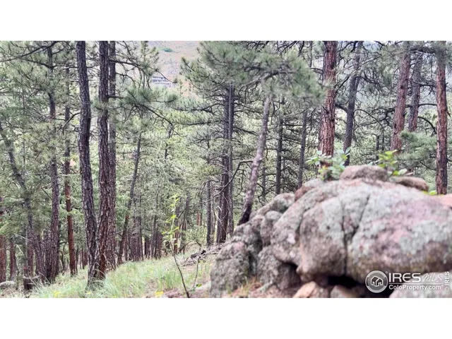 a black and white photo of a building