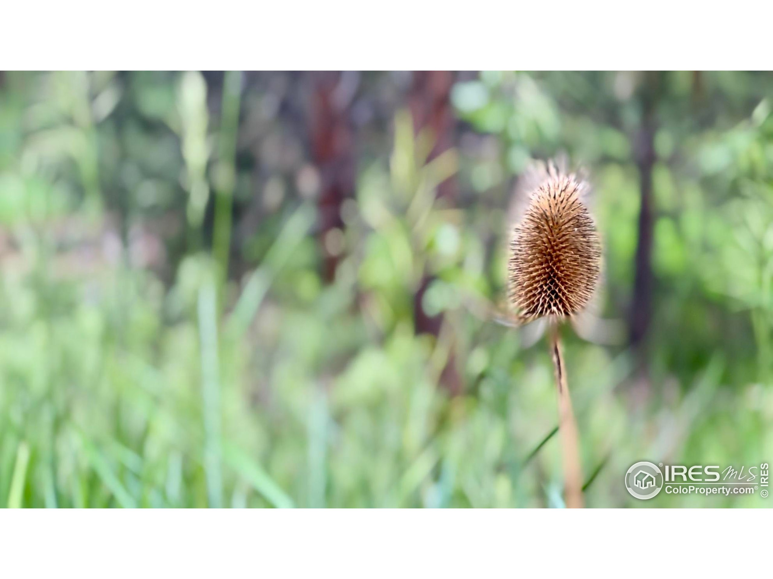375 Arroyo Chico Boulder, CO 80302 - Photo 22 of 33 a open view