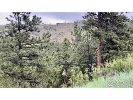 a open area of a house with a yard