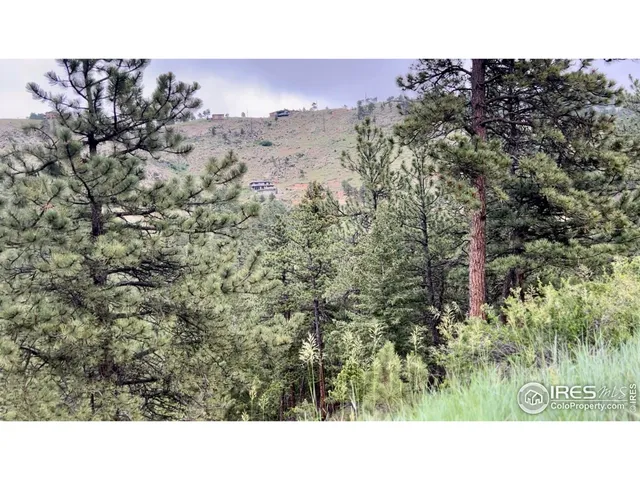 a open area of a house with a yard