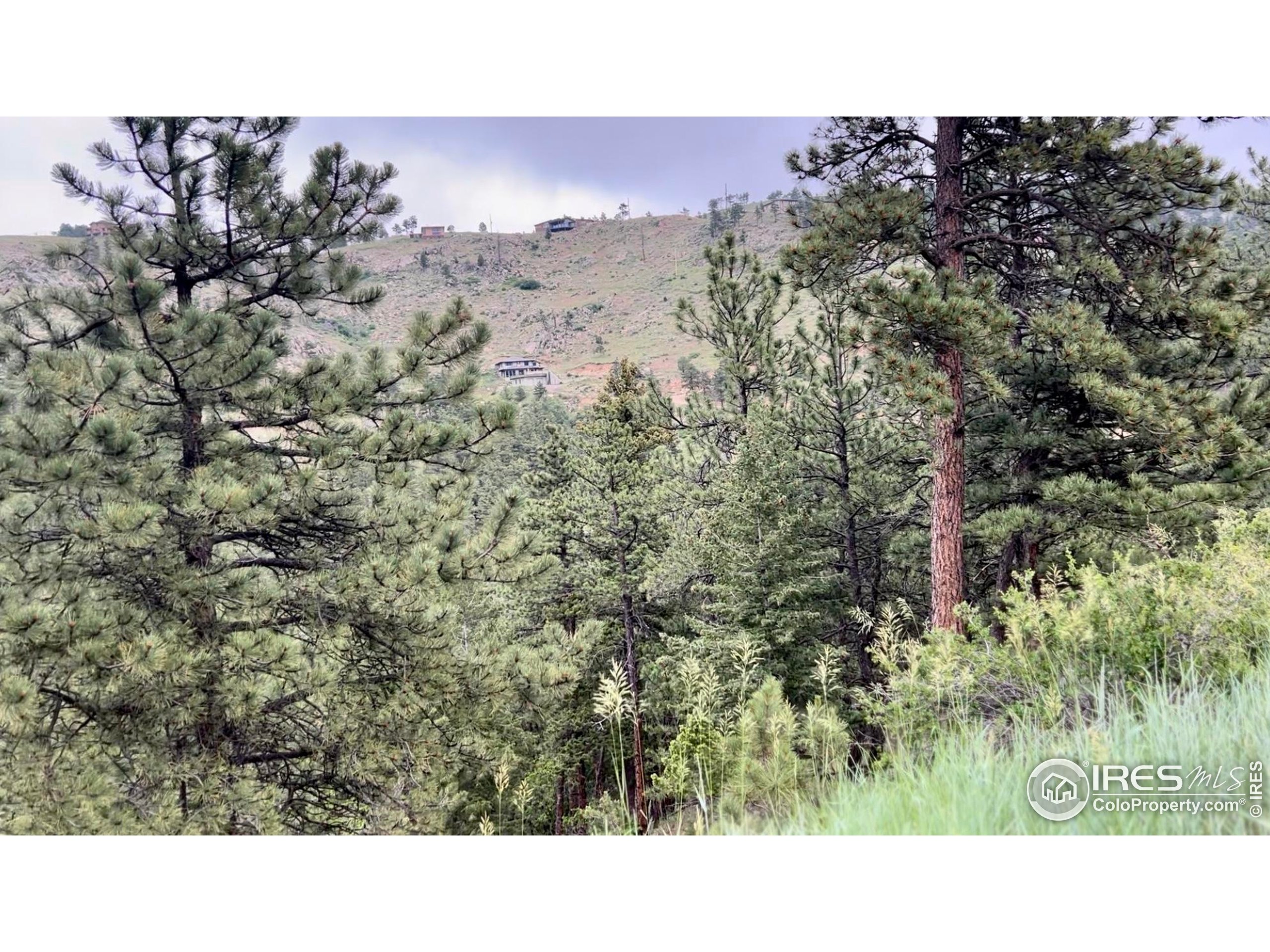375 Arroyo Chico Boulder, CO 80302 - Photo 23 of 33 a open area of a house with a yard