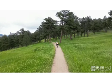 a black and white photo of a park