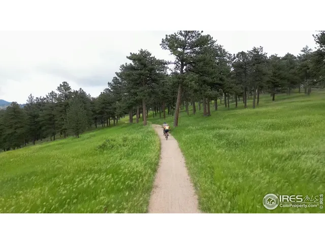 a black and white photo of a park