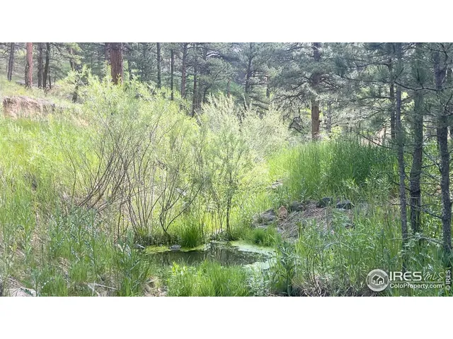 a black and white photo of a house