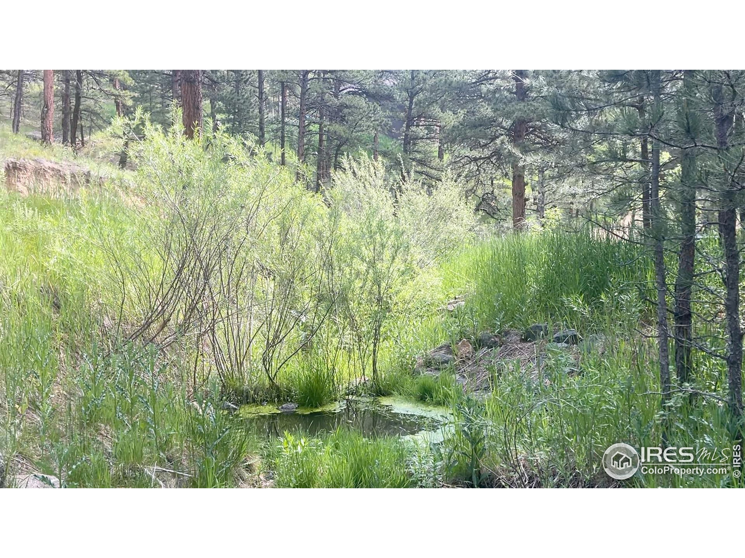 375 Arroyo Chico Boulder, CO 80302 - Photo 7 of 33 a black and white photo of a house