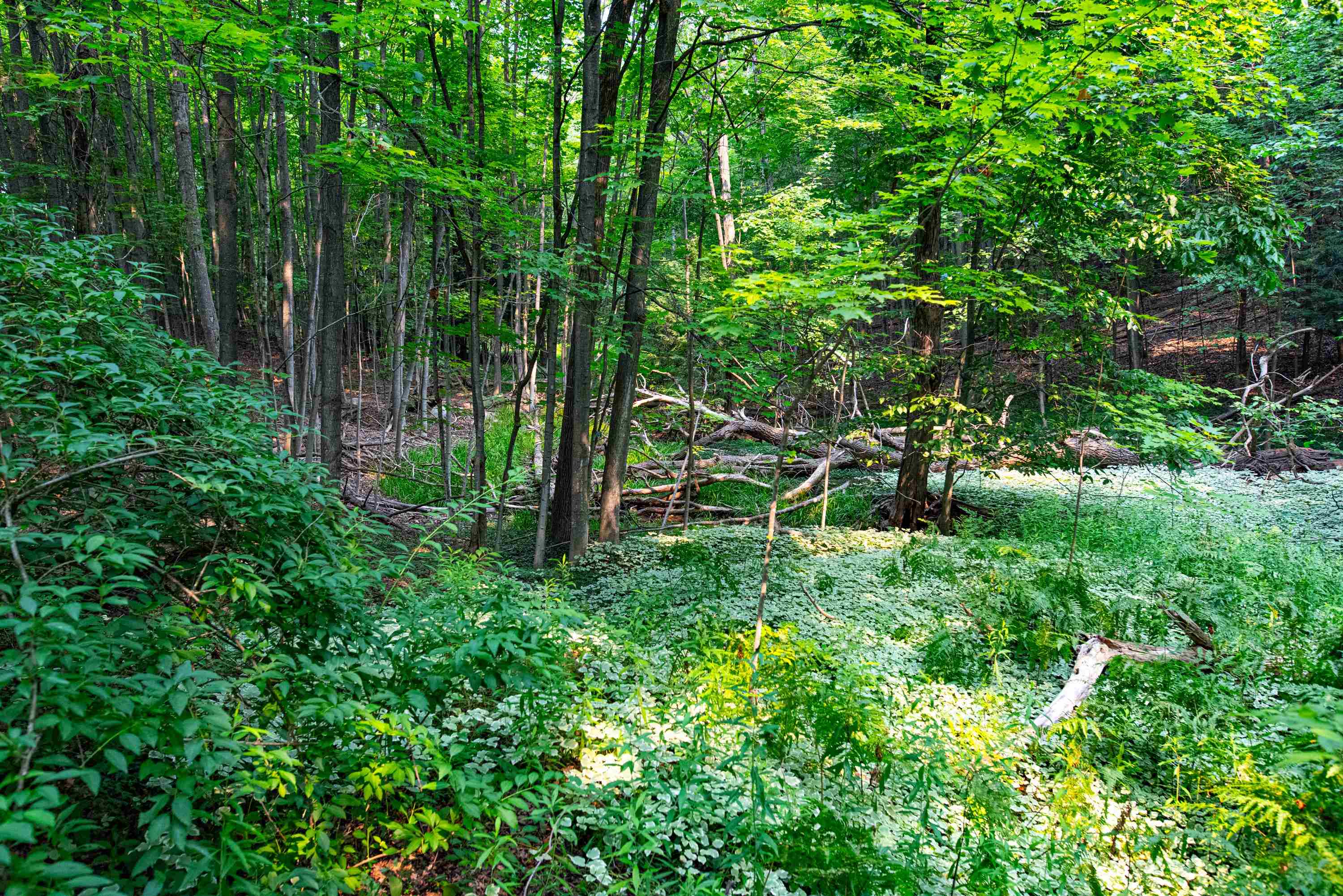 0 East Grandview Road Traverse City, MI 49684 - Photo 13 of 24