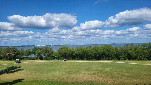a view of a big yard with lots of green space