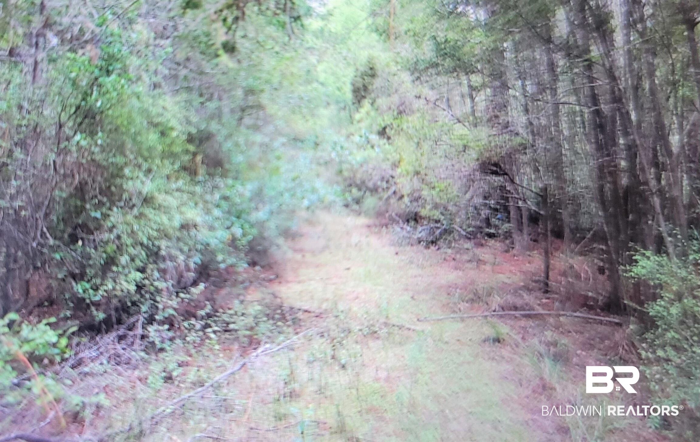 0 Juniper Road Seminole, AL 36574 - Photo 17 of 26