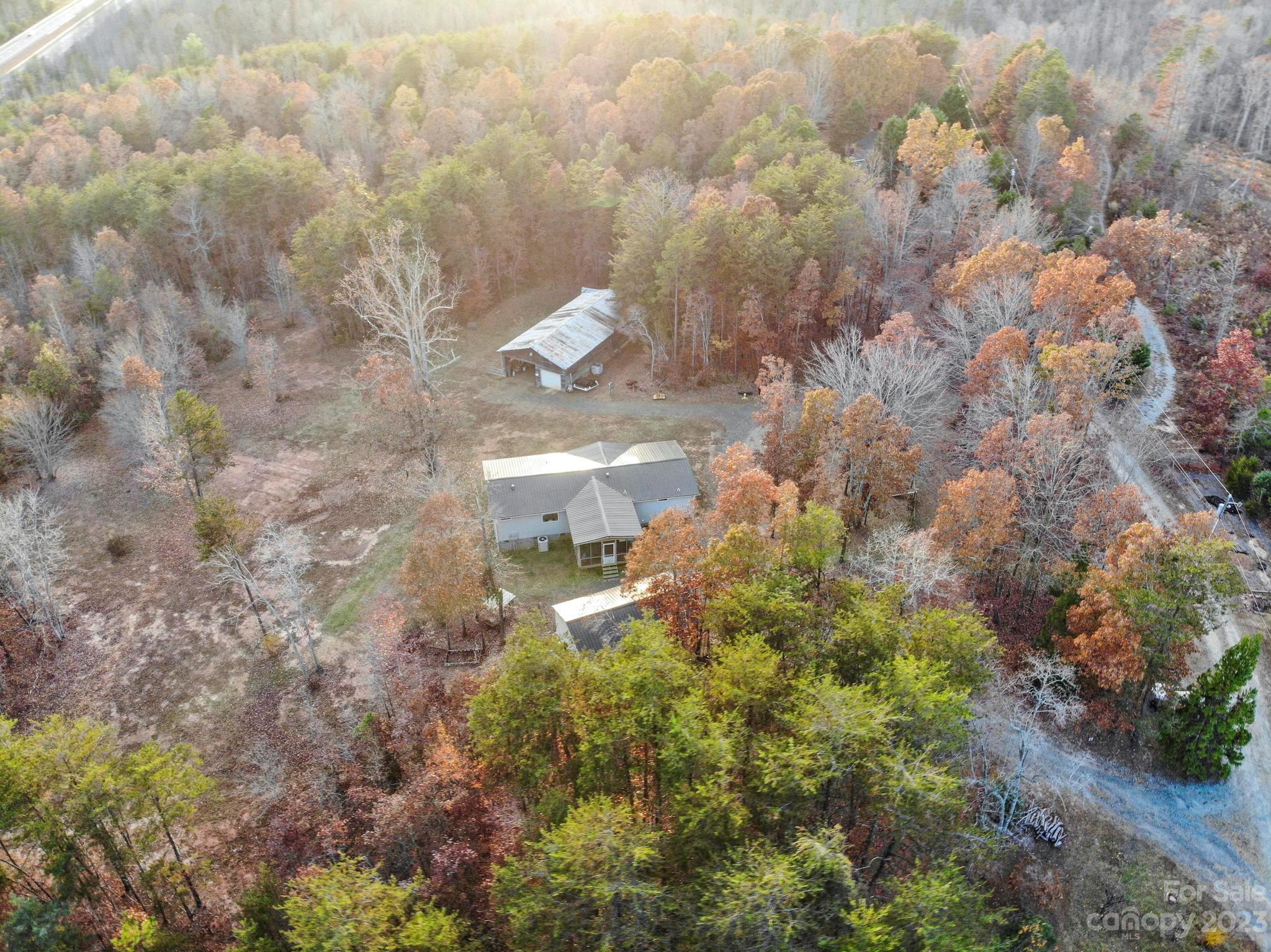 139 Phils Circle Rutherfordton, NC 28139 - Photo 32 of 37 a close up of a plant in a forest