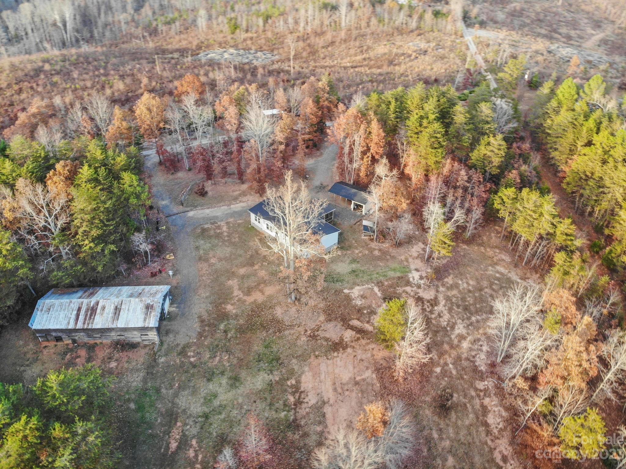 139 Phils Circle Rutherfordton, NC 28139 - Photo 33 of 37 a view of a tree in a yard