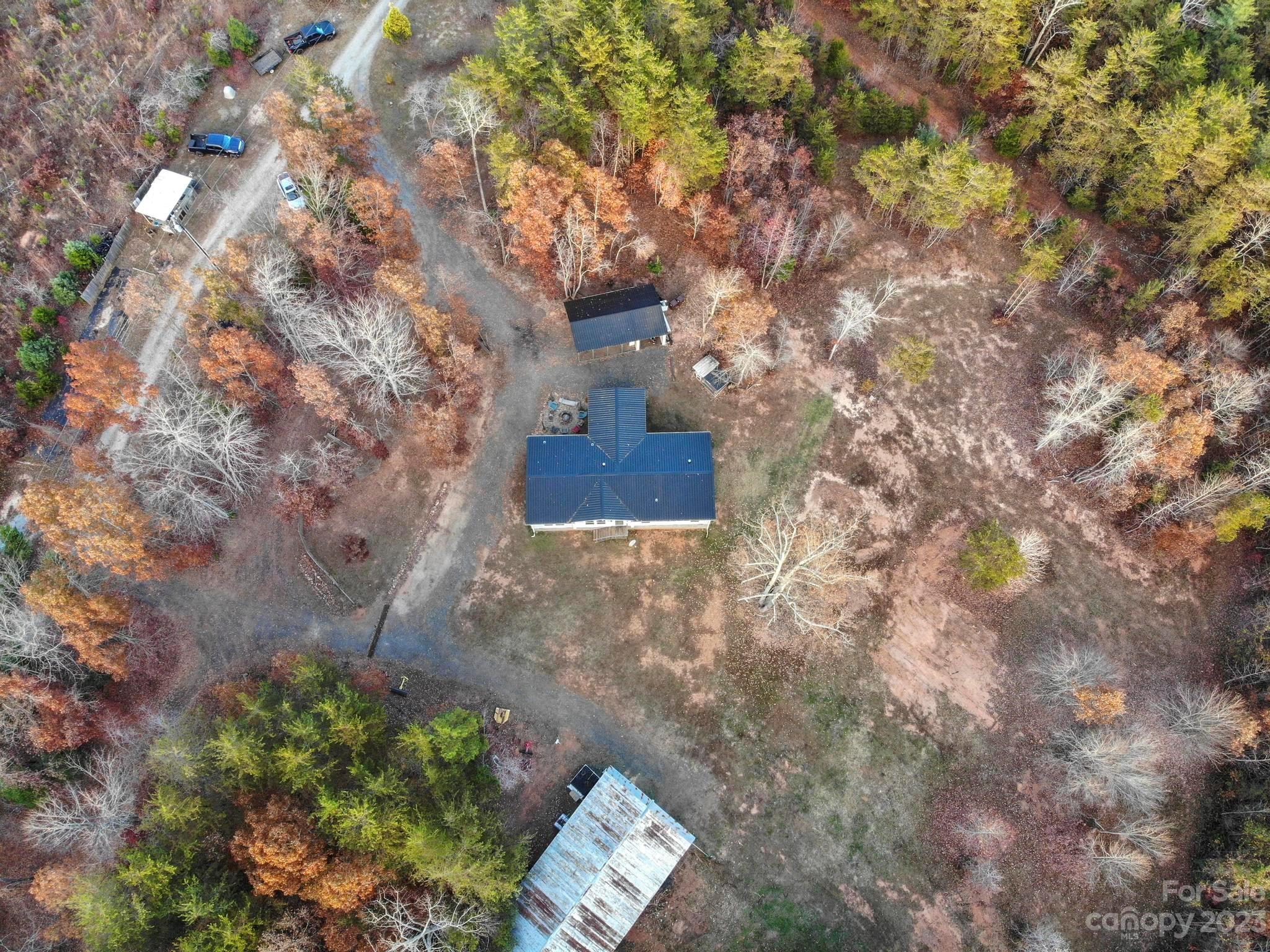 139 Phils Circle Rutherfordton, NC 28139 - Photo 37 of 37 a picture of tree