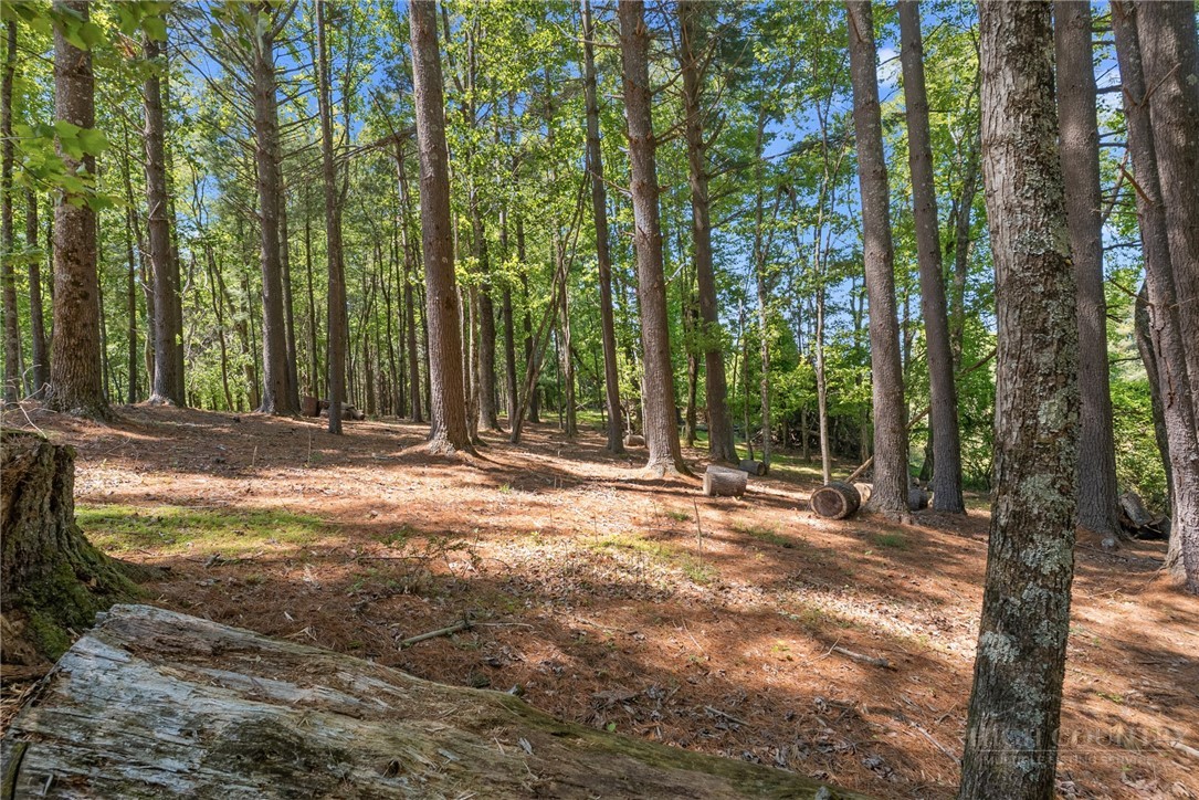 154 Folger Road Sparta, NC 28675 - Photo 28 of 37 a view of outdoor space with trees