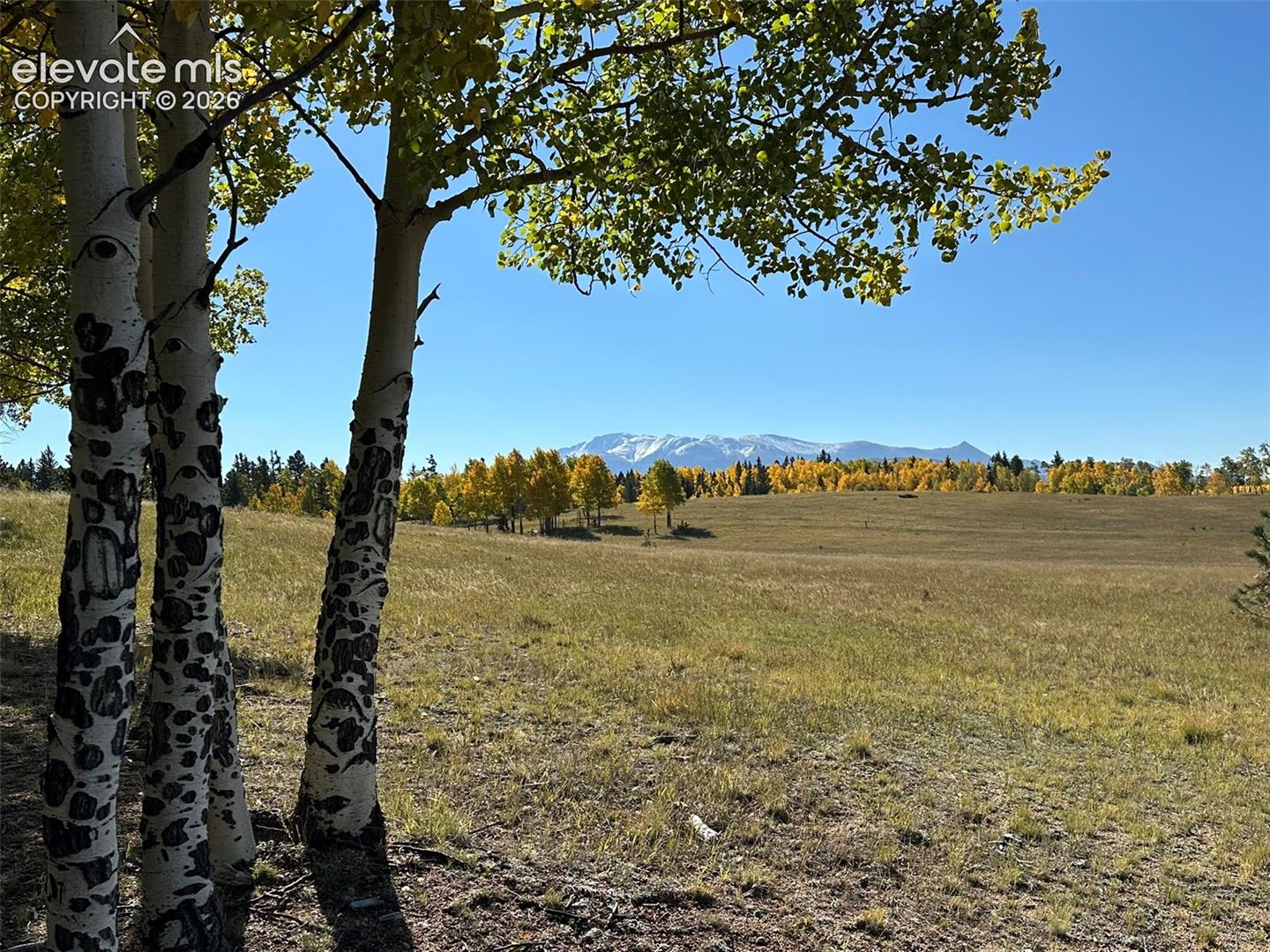 2940 NORTH Rd Divide Divide, CO 80814 - Photo 5 of 27 Gallery Image 5
